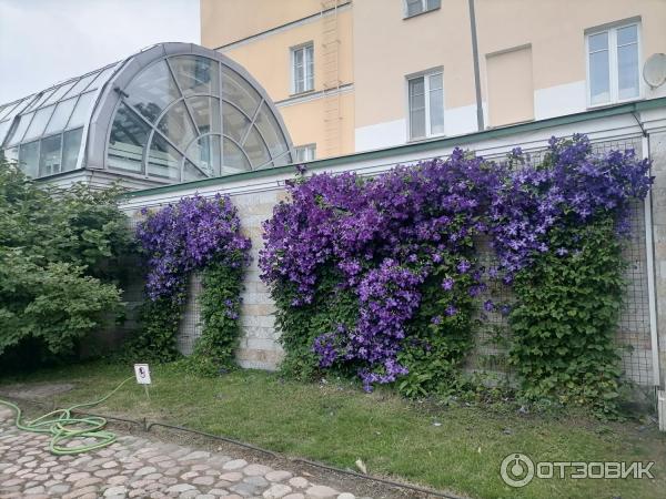 Сад усадьбы Державина, Санкт-Петербург