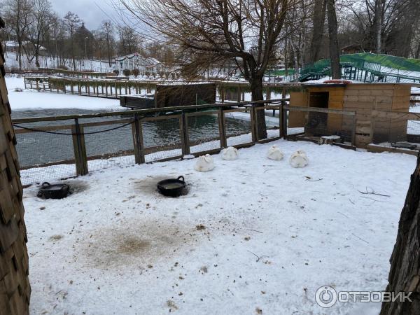 Городская ферма на ВДНХ (Россия, Москва) фото