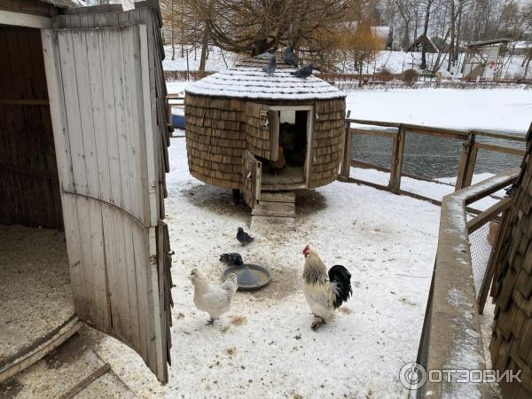 Городская ферма на ВДНХ (Россия, Москва) фото