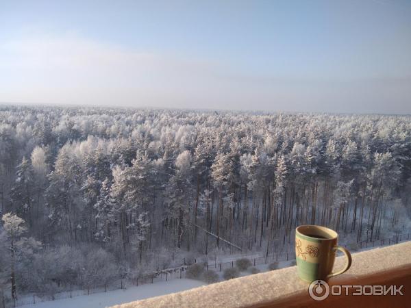 Жилой комплекс Сосновый Бор (Россия, Московская область) фото