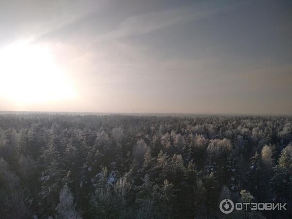 Жилой комплекс Сосновый Бор (Россия, Московская область) фото