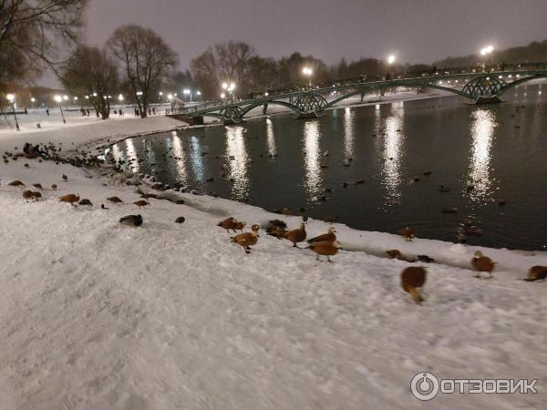 Музей-заповедник Царицыно (Россия, Москва) фото