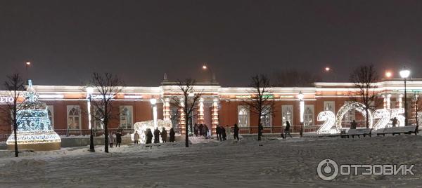 Музей-заповедник Царицыно (Россия, Москва) фото