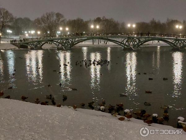 Музей-заповедник Царицыно (Россия, Москва) фото