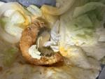 Сеть ресторанов быстрого питания "Burger King" (Беларусь) фото