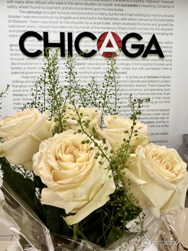 Цветы на фоне логотипа, это я дарила педагогу