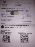 Garshinka.ru - интернет-магазин садовых растений фото