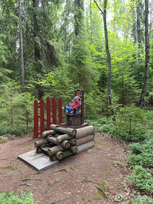 Сказачная тропа Лукоморье (Россия, Верхние Мандроги) фото