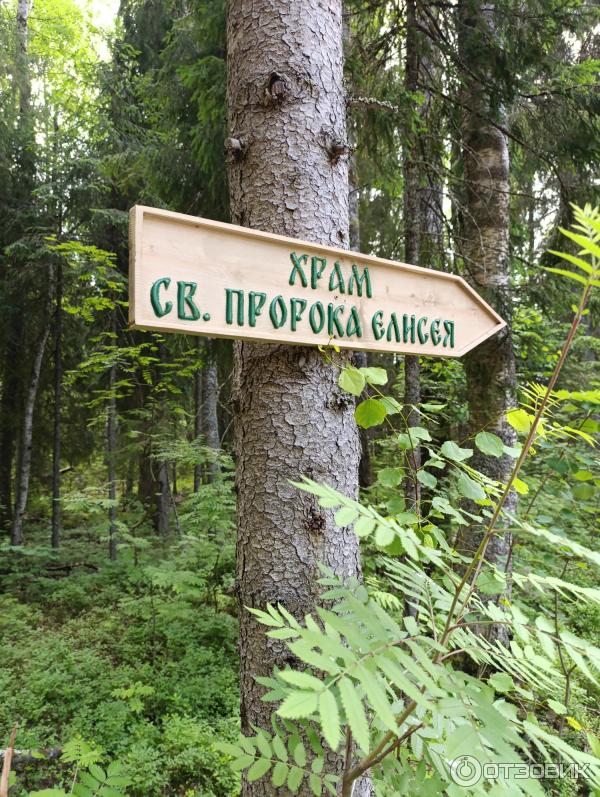 Сказачная тропа Лукоморье (Россия, Верхние Мандроги) фото