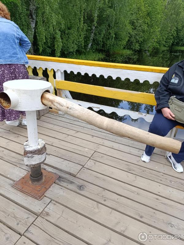 Сказачная тропа Лукоморье (Россия, Верхние Мандроги) фото