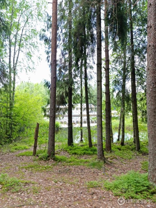 Сказачная тропа Лукоморье (Россия, Верхние Мандроги) фото