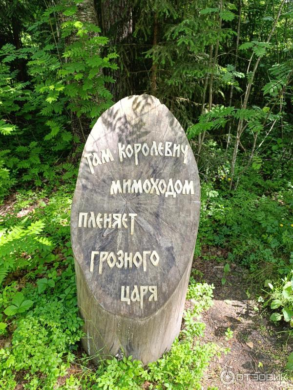 Сказачная тропа Лукоморье (Россия, Верхние Мандроги) фото