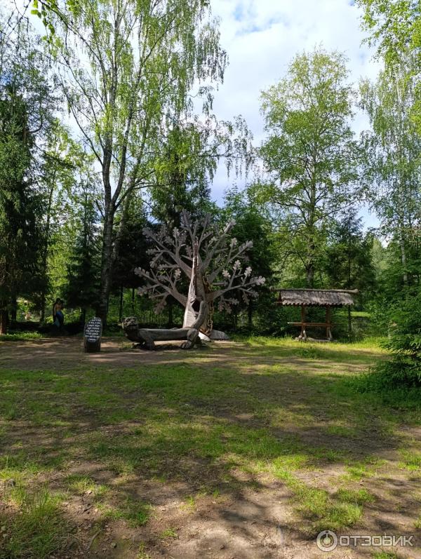 Сказачная тропа Лукоморье (Россия, Верхние Мандроги) фото