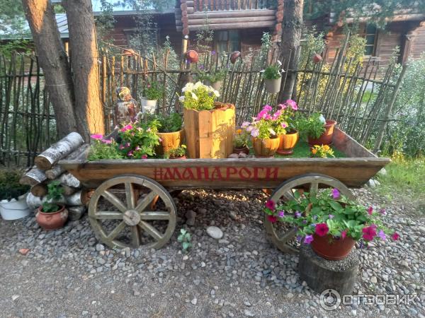 Сказачная тропа Лукоморье (Россия, Верхние Мандроги) фото