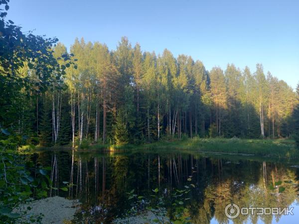 Сказачная тропа Лукоморье (Россия, Верхние Мандроги) фото