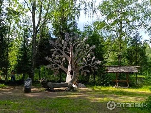 Сказачная тропа Лукоморье (Россия, Верхние Мандроги) фото