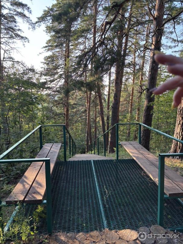 Экскурсия в хвалынский национальный парк (Россия, Хвалынск) фото