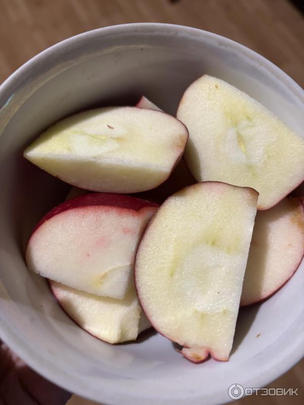 Соковыжималка Zelmer 377 Julita фото