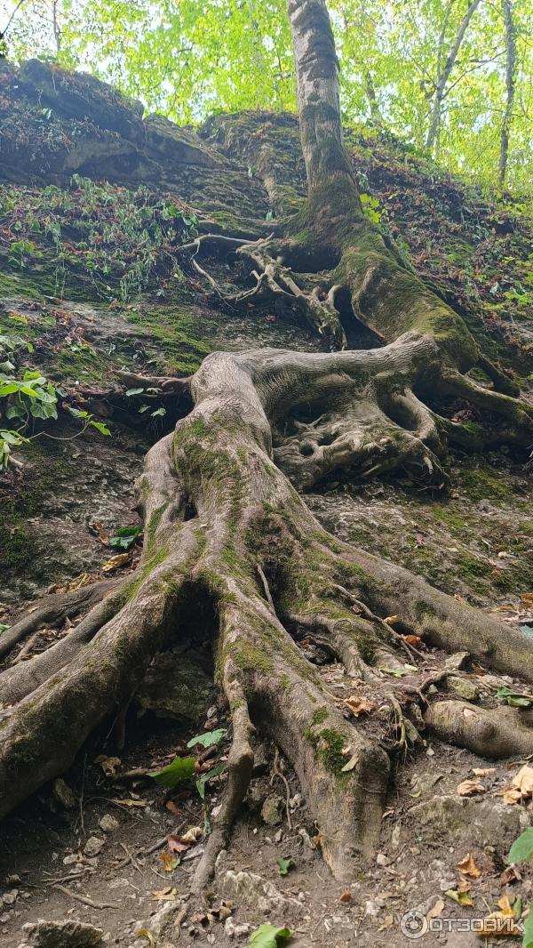 поселок Каменномостский