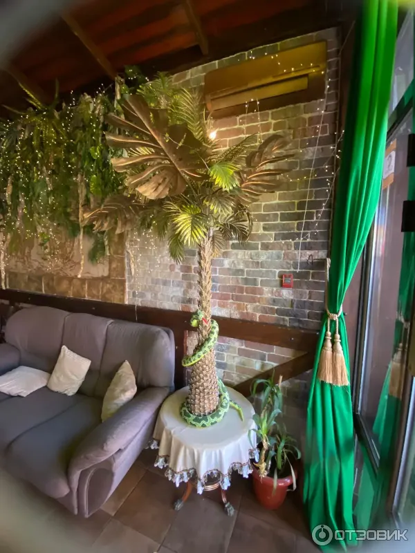 Отель Три мушкетера (Россия, Анапа) фото