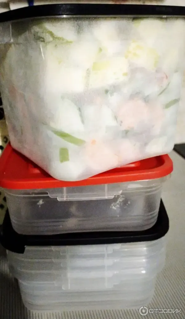 Контейнеры из плотного пластика для пищевых продуктов от бренда Ангора
