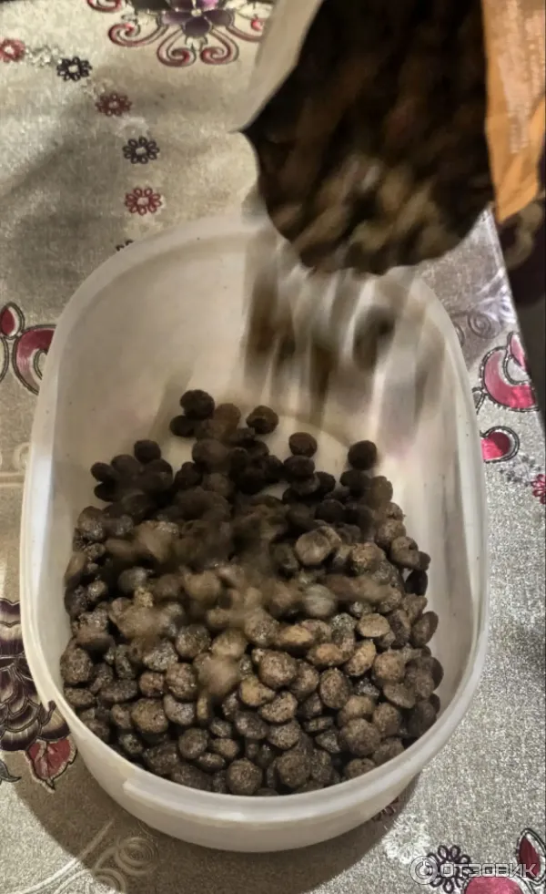 Корм пересыпаем в сухой контейнер для сохранения вкуса и запаха