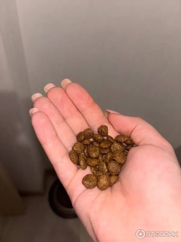 Корм для стерилизованных кошек Alleva Equilibrium с курицей фото