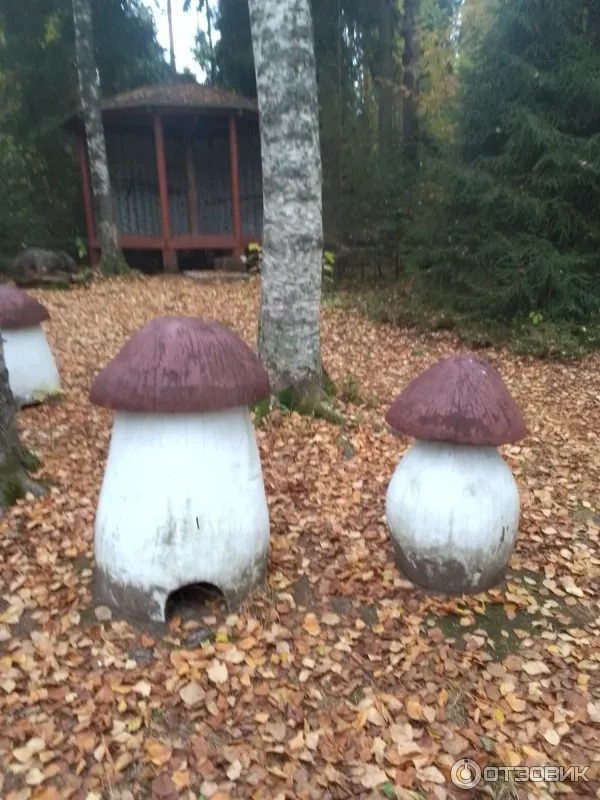 Сказочная тропа Лукоморье (Россия, Верхние Мандроги) фото