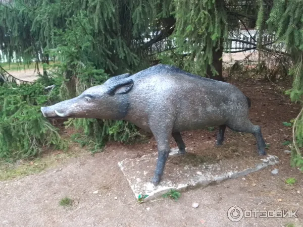 Сказочная тропа Лукоморье (Россия, Верхние Мандроги) фото