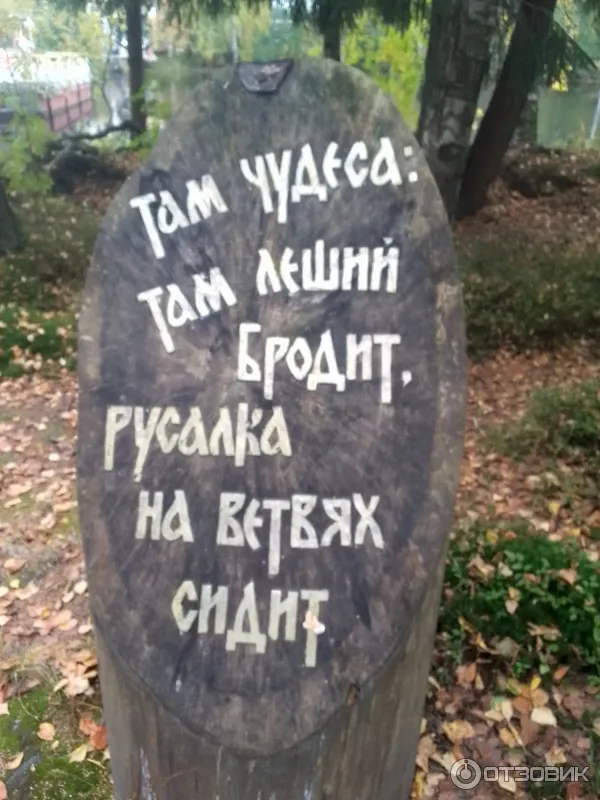 Сказочная тропа Лукоморье (Россия, Верхние Мандроги) фото