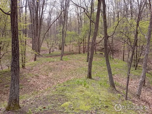 Санаторий Хабаровский (Россия, Хабаровск) фото