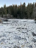 Турагентство "Скантур" фото