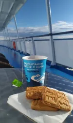 Круизная компания "Инфофлот" (Россия, Москва) фото