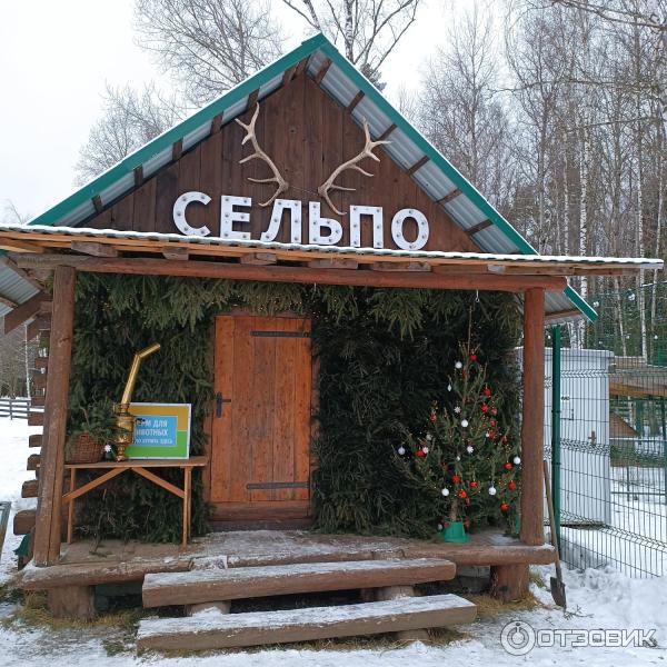 Арт-усадьба Веретьево (Россия, Московская область) фото