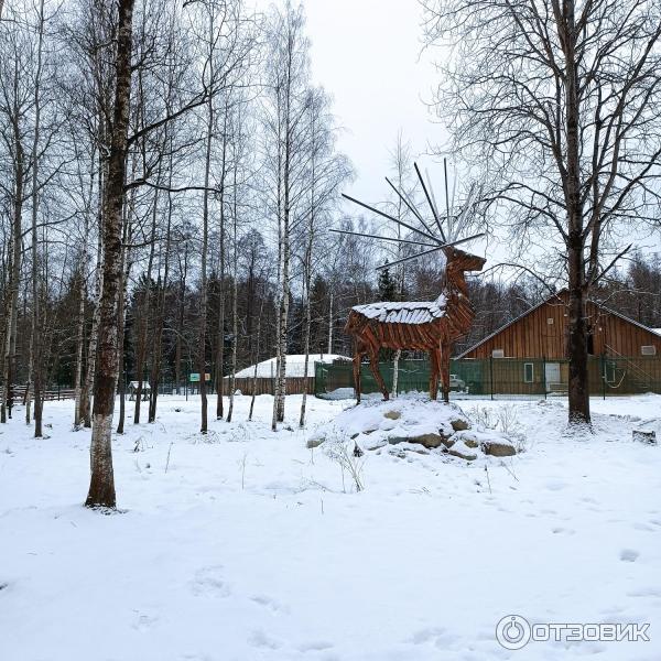 Арт-усадьба Веретьево (Россия, Московская область) фото