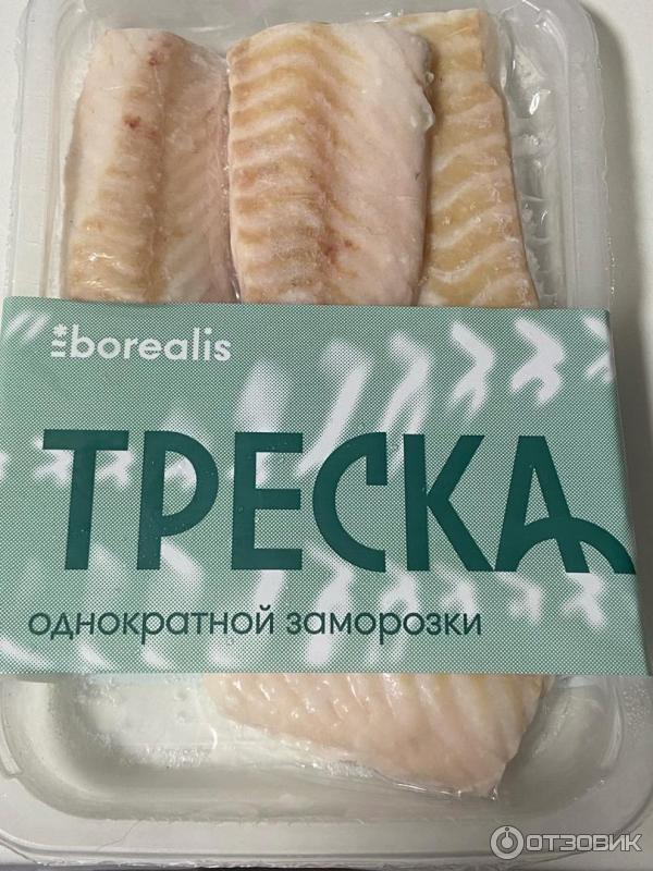 Лойн трески Borealis фото