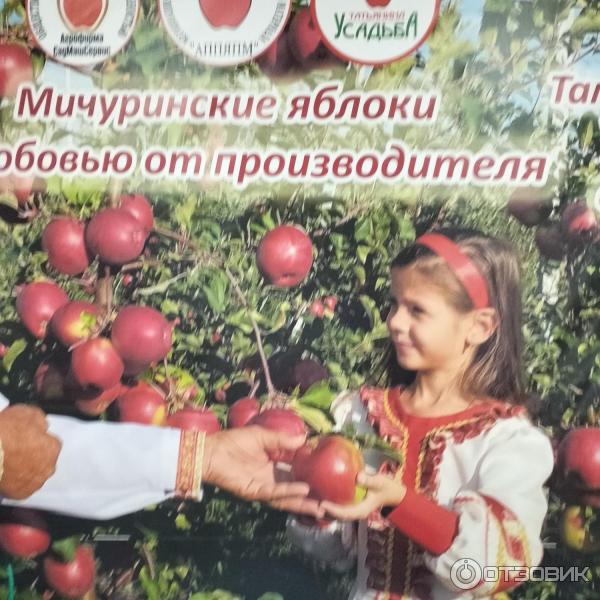 Отзыв о Магазин "Мичуринске яблоки" (Россия, Мичуринск) | Вкусные ...