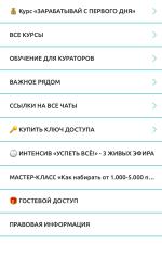 Бизнес-проект INSTART фото