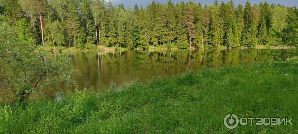 Пляж с беседками для BBQ и пляжный волейбол