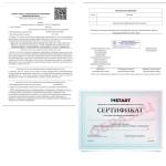 Бизнес-проект INSTART фото