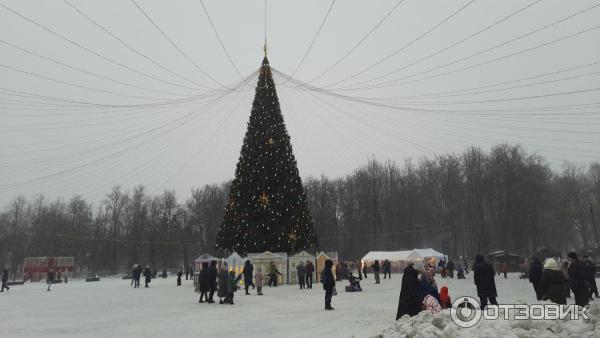 Отдых в г. Великий Новгород (Россия) фото