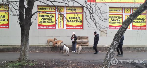 Колбаса вареная Пуд мяса Брестская фото