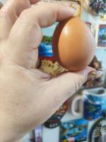 Яйца куриные "Щедрый год" фото