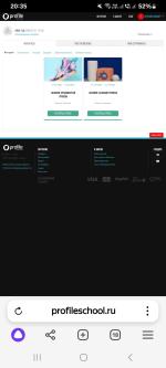 Profileschool.ru - виртуальная школа Profile virtual school фото