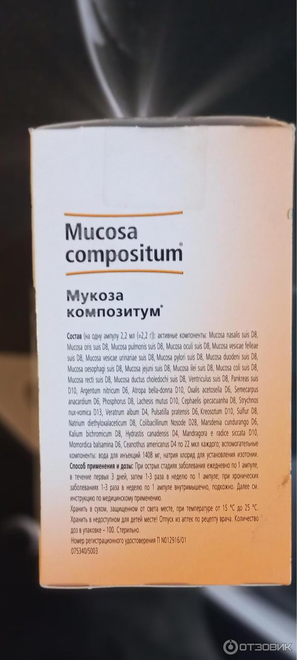 Гомеопатическое средство ампулы Heel Мукоза композитум фото