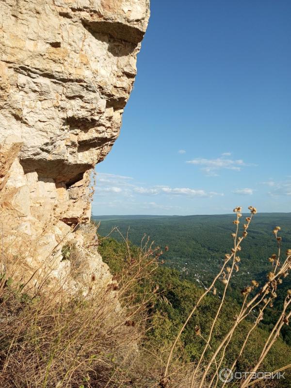 Орлиная полка