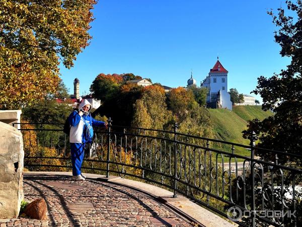 Борисоглебская церковь (Беларусь, Гродно) фото