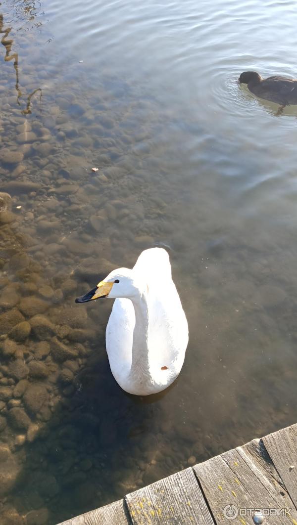 Лабинск металлический дом бассейн