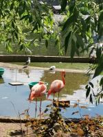 Московский Зоопарк (Россия, Москва) фото