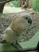 Московский Зоопарк (Россия, Москва) фото